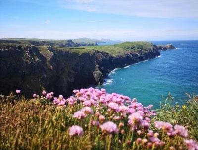 Middle Cottage Sandy Haven Beach Milford Haven Dış mekan fotoğraf